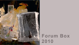 Forumbox 2010